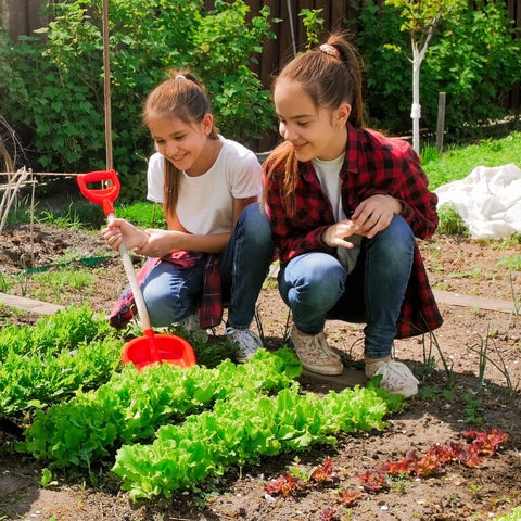 Vrtlarstvo za početnike i djeca - što je dobro znati