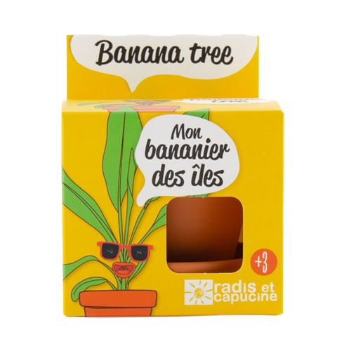 SET - Posuda za uzgoj Banane, za djecu