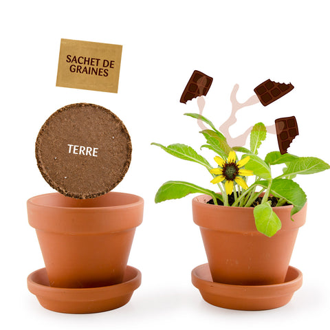 SET - Posuda za uzgoj Čokoladnog cvijeta, za djecu