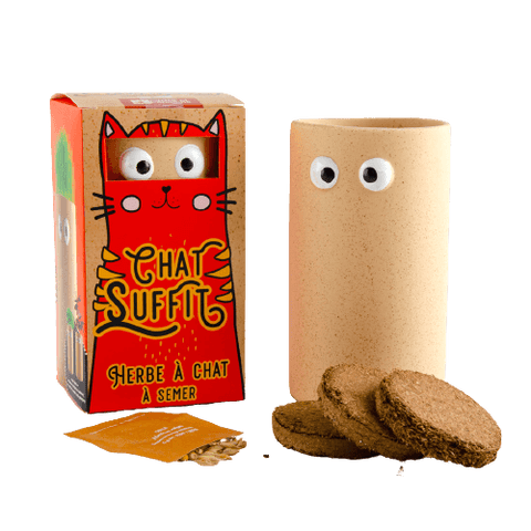 SET - Sjemenke za mačke + terakota lonac