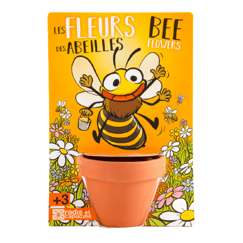 SET - Posuda za uzgoj sa sjemenkama pčelinje cvijeće