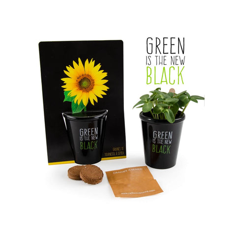 SET - Crni lonac sa sjemenkama organskog suncokreta