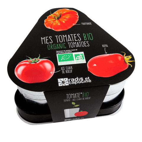 SET - Posuda za uzgoj EKO rajčica, 3x pocinčane lonce
