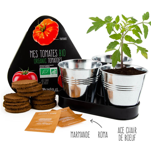 SET - Posuda za uzgoj EKO rajčica, 3x pocinčane lonce