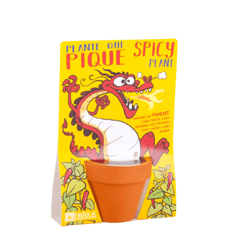 SET - Posuda za uzgoj sa sjemenkama kajenske paprike, za djecu