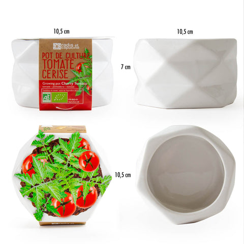 SET - Origami lončić za sadnju EKO cherry rajčice
