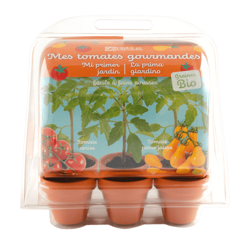 SET - Mini staklenik za uzgoj rajčice, za djecu