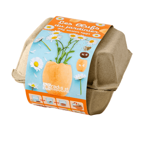 SET - Posuda za uzgoj sa sjemenkama tratinčice, za djecu