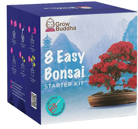 SET - Bonsai Easy, uzgoj 8. vrsta biljka + škare