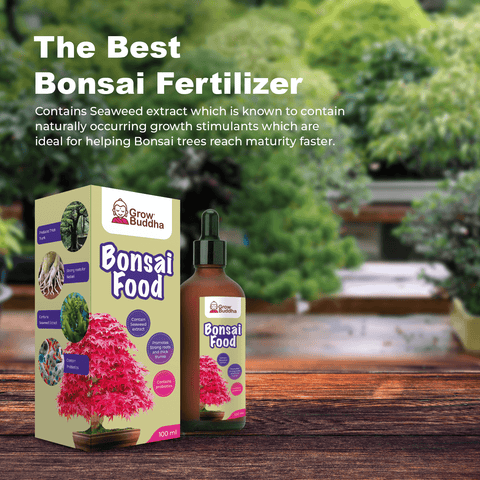 SET - Bonsai sjemenke + Gnojivo za bonsaije s probioticama