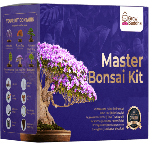 SET - Bonsai Master, uzgoj 6.vrst biljaka + alat